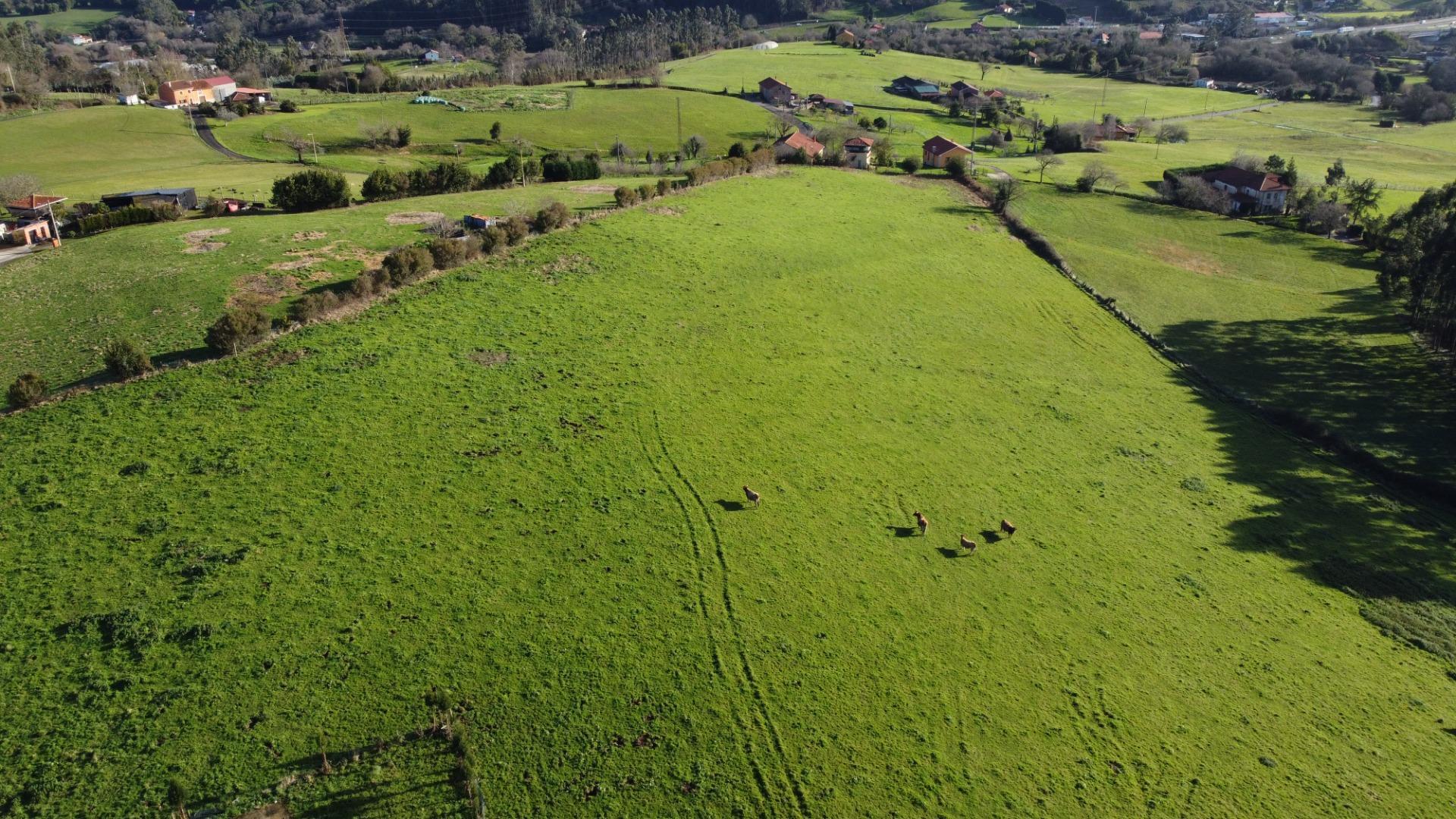 Casas o chalets-Venta-CarreÃ±o-2064107-Foto-64