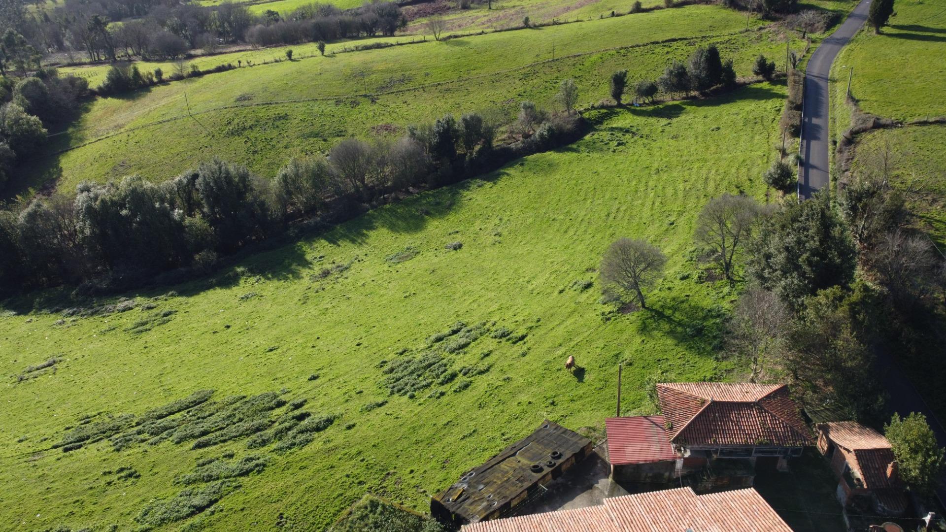 Casas o chalets-Venta-CarreÃ±o-2064107-Foto-63