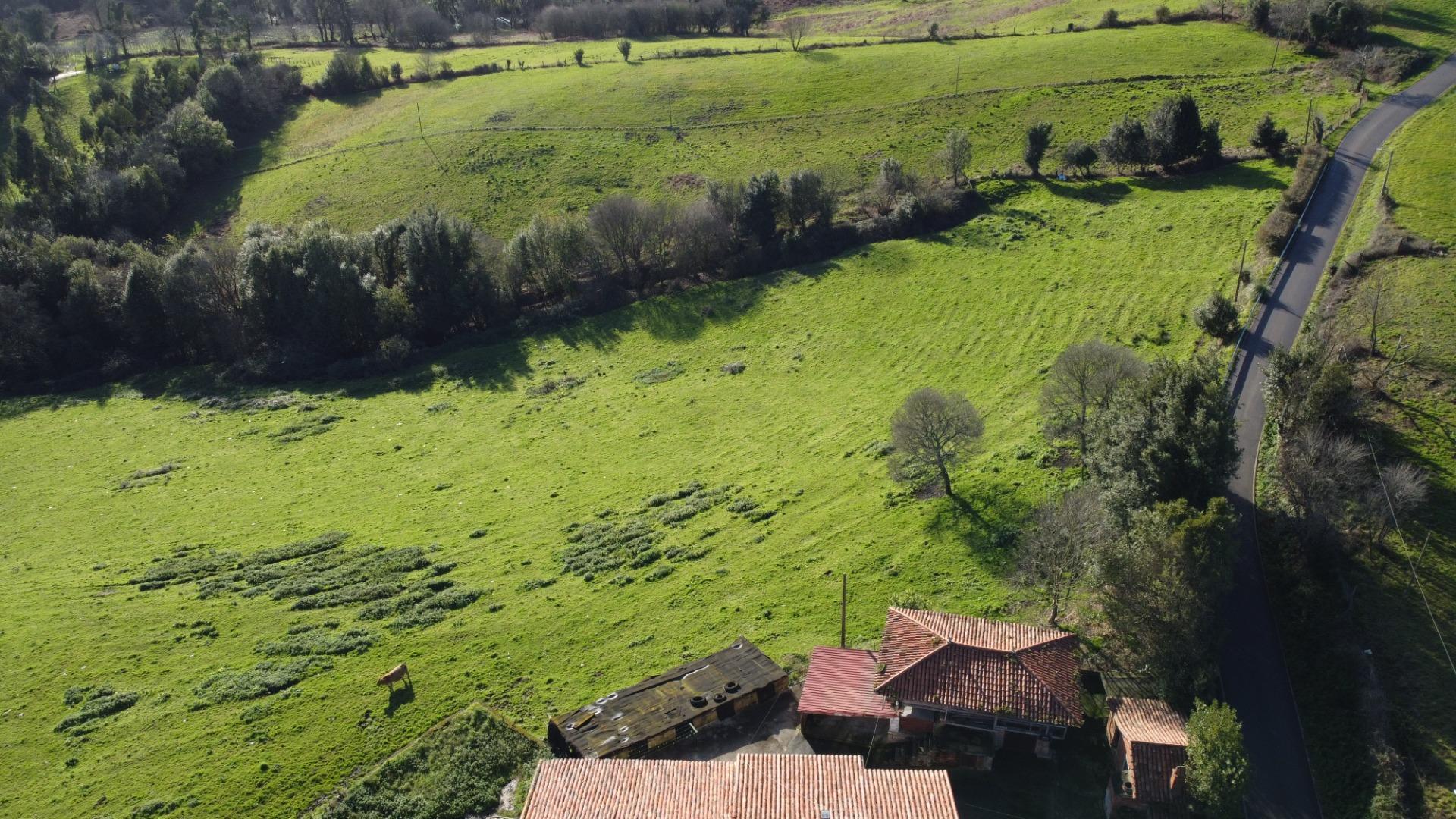 Casas o chalets-Venta-CarreÃ±o-2064107-Foto-71