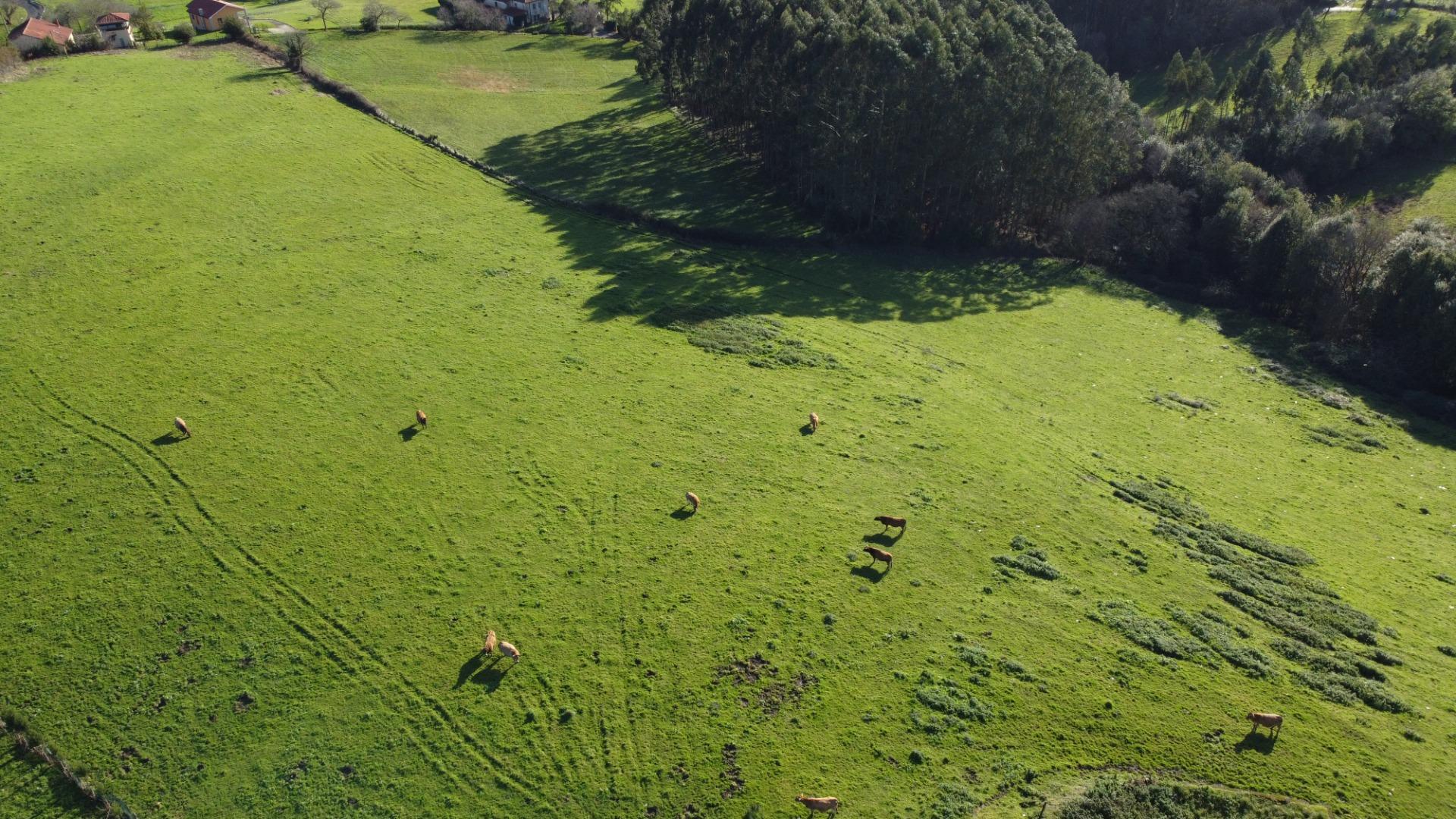 Casas o chalets-Venta-CarreÃ±o-2064107-Foto-74