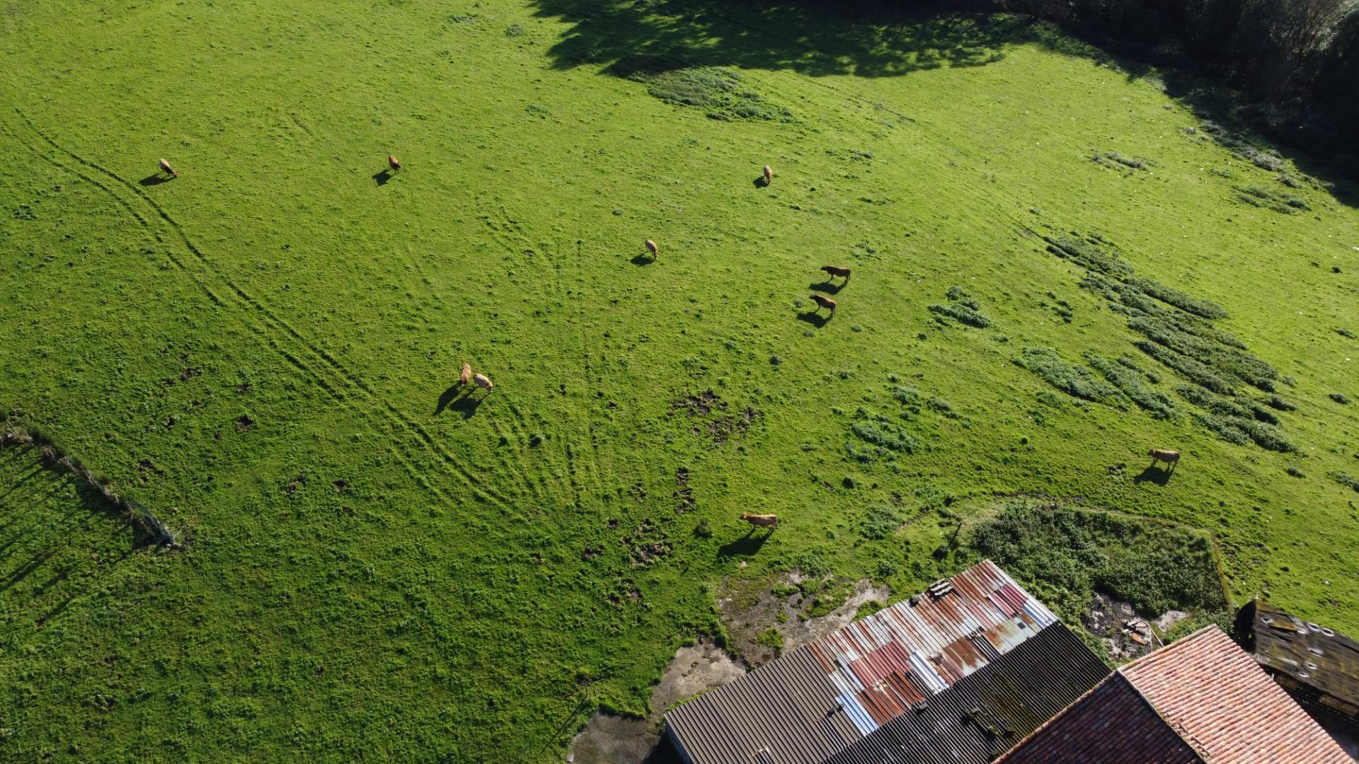 Casas o chalets-Venta-CarreÃ±o-2064107-Foto-75