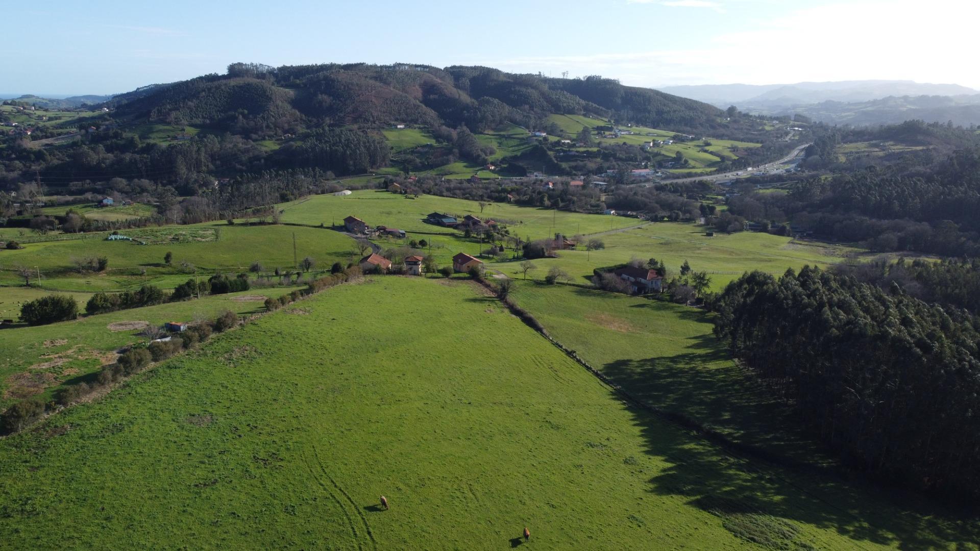 Casas o chalets-Venta-CarreÃ±o-2064107-Foto-78