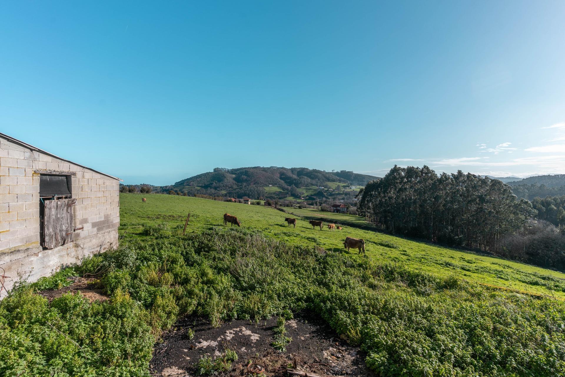 Casas o chalets-Venta-CarreÃ±o-2064107-Foto-85