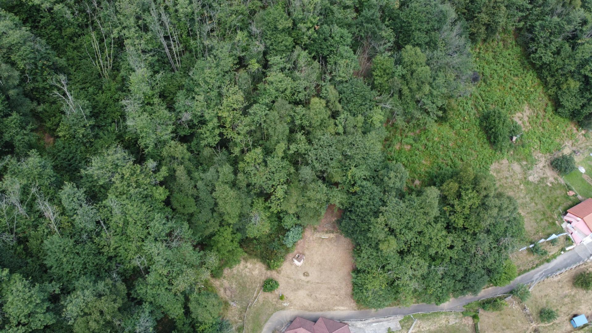 Casas o chalets-Venta-San MartÃ­n del Rey Aurelio-1829300-Foto-51