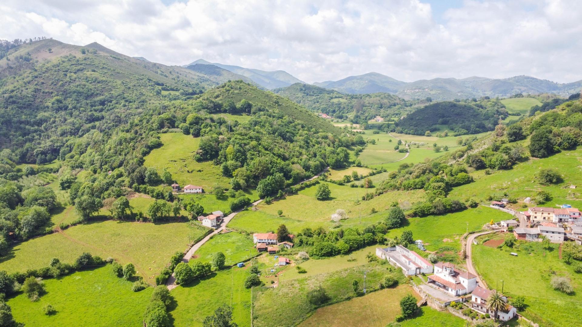 Casas o chalets-Venta-El Grado-1734208-Foto-59