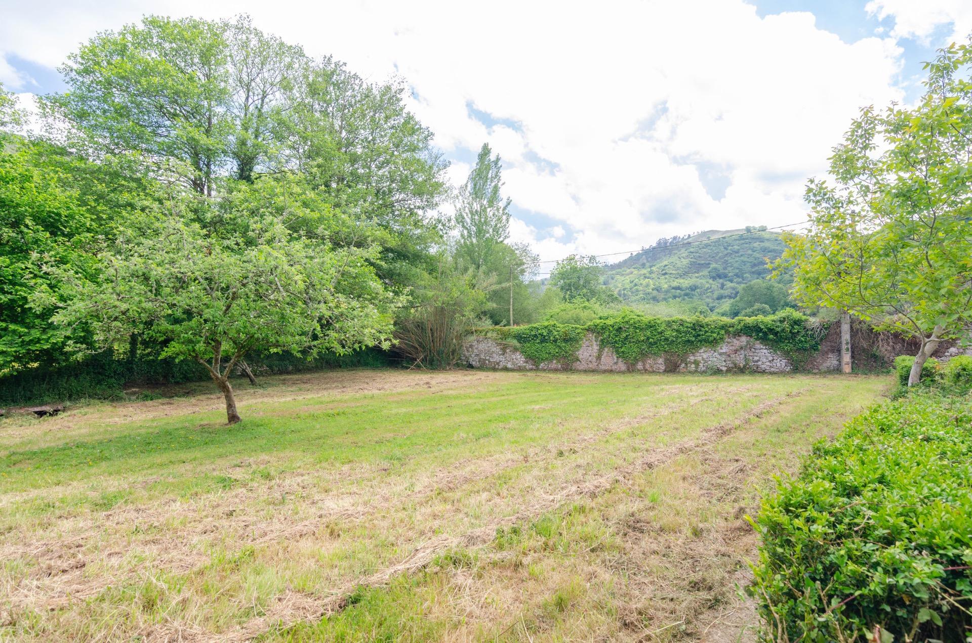 Casas o chalets-Venta-El Grado-1734208-Foto-67