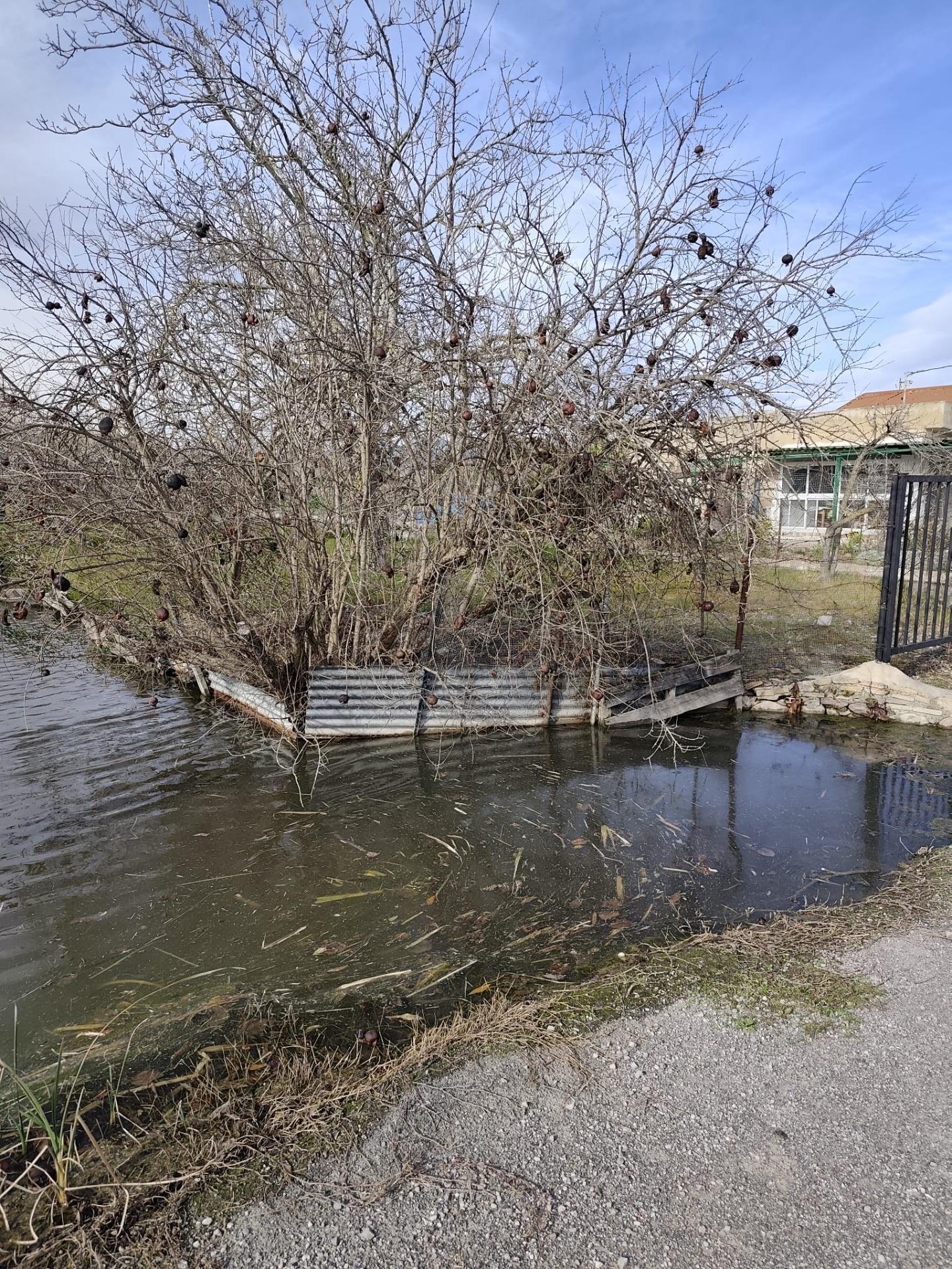 Fincas y solares-Venta-CastellÃ³n-CastellÃ³n de la Plana-2249722-Foto-2