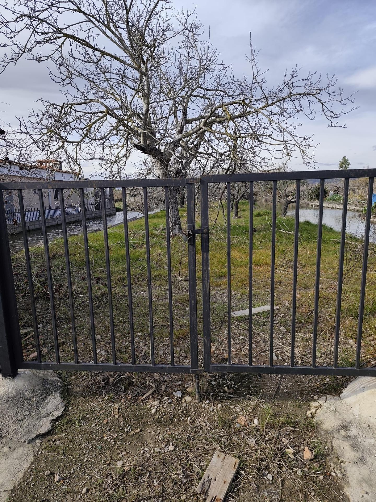 Fincas y solares-Venta-CastellÃ³n-CastellÃ³n de la Plana-2249722-Foto-5