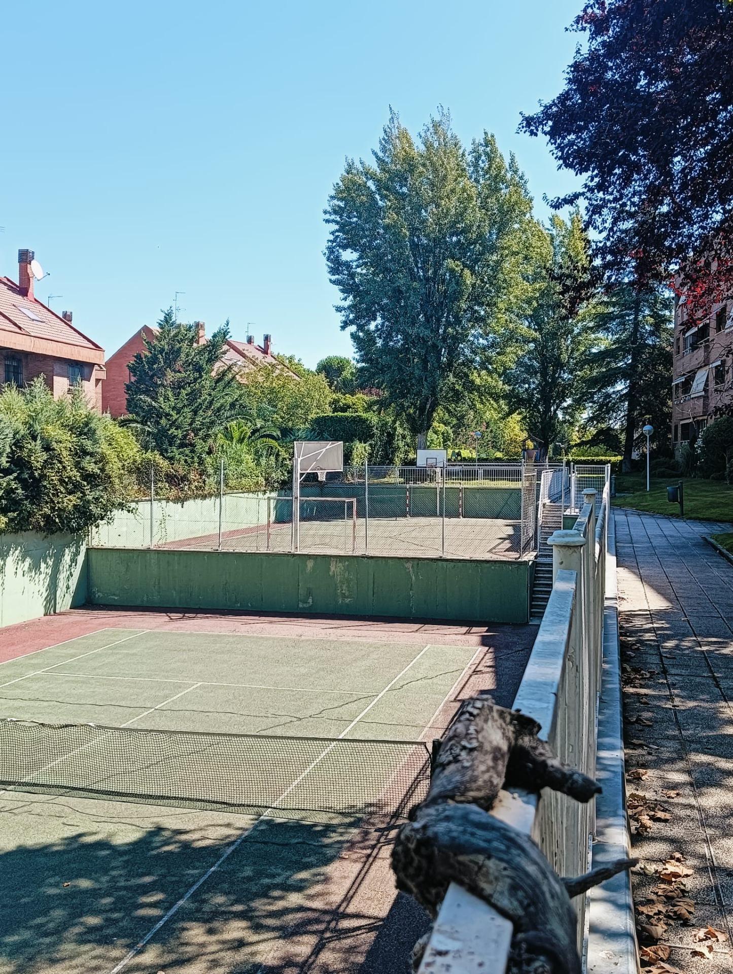 Pisos-Alquiler-Pozuelo de AlarcÃ³n-2089321-Foto-32