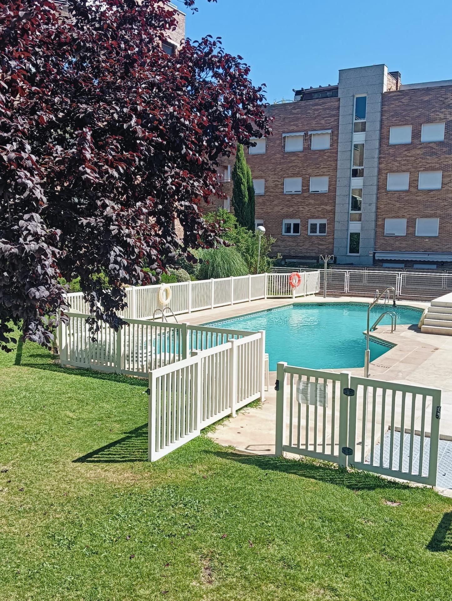 Pisos-Alquiler-Pozuelo de AlarcÃ³n-2089321-Foto-30