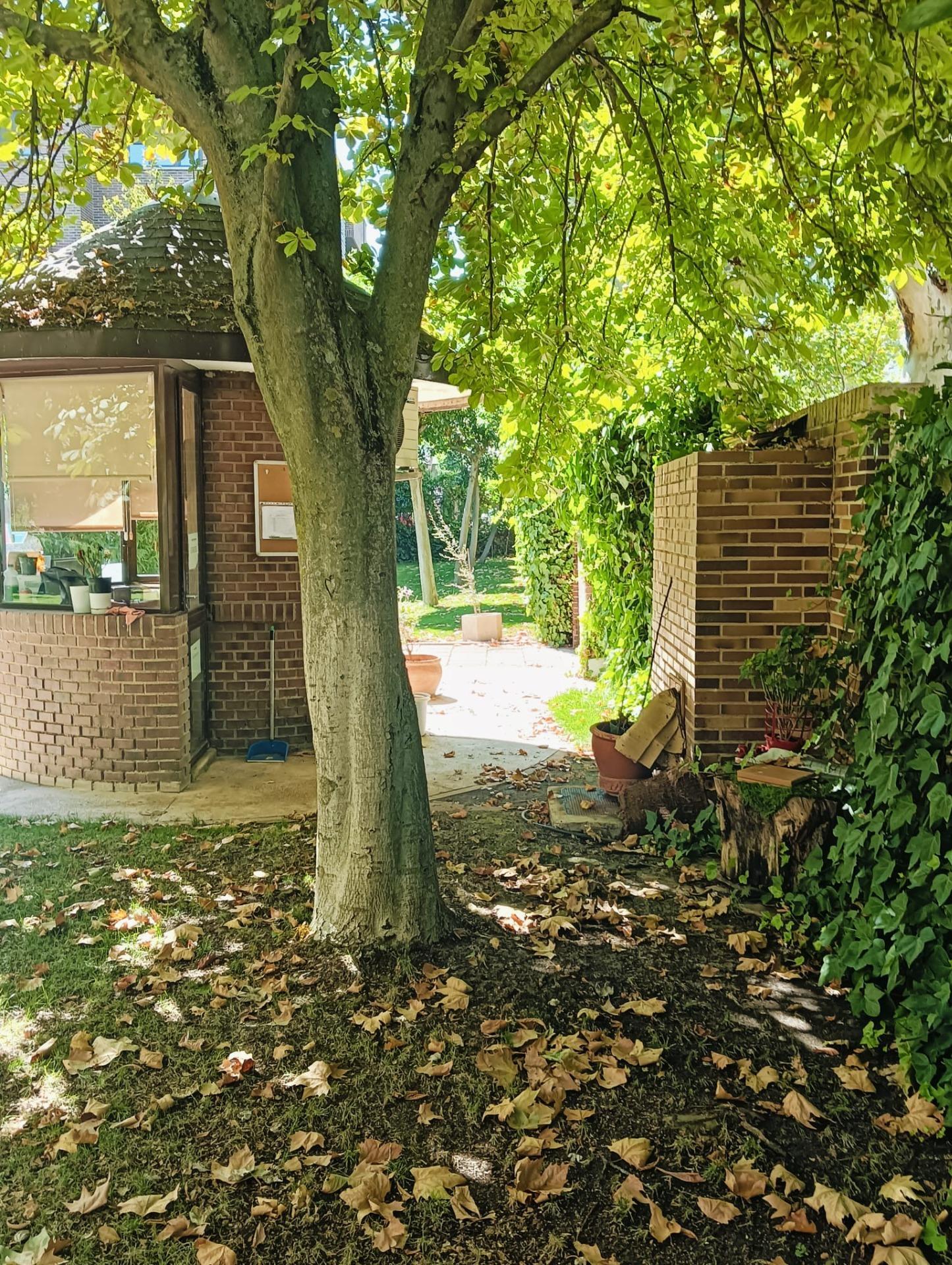 Pisos-Alquiler-Pozuelo de AlarcÃ³n-2089321-Foto-33