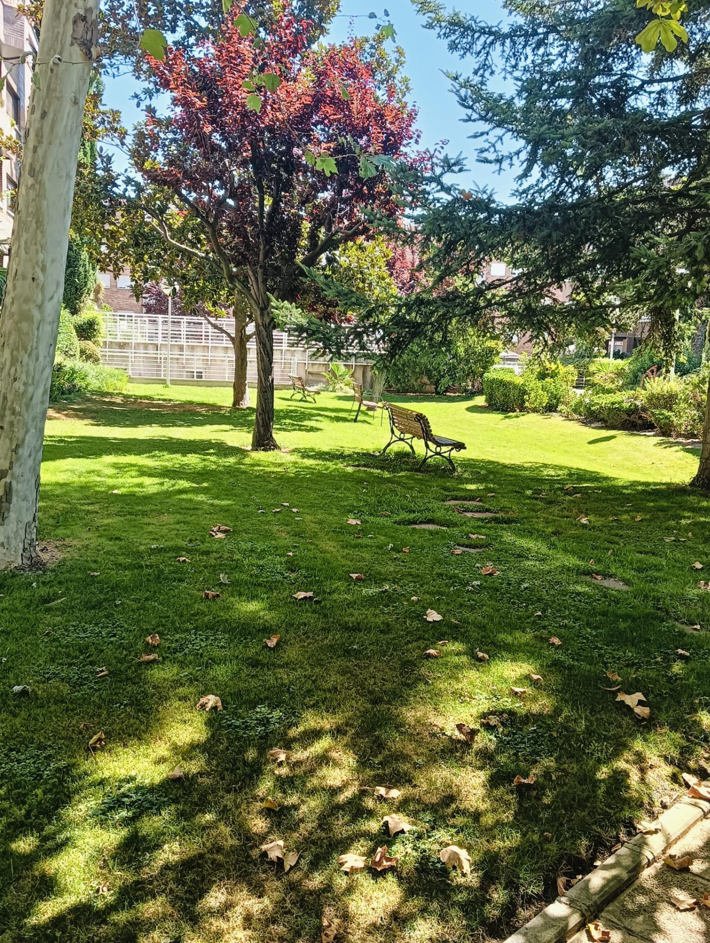 Pisos-Alquiler-Pozuelo de AlarcÃ³n-2089321-Foto-36