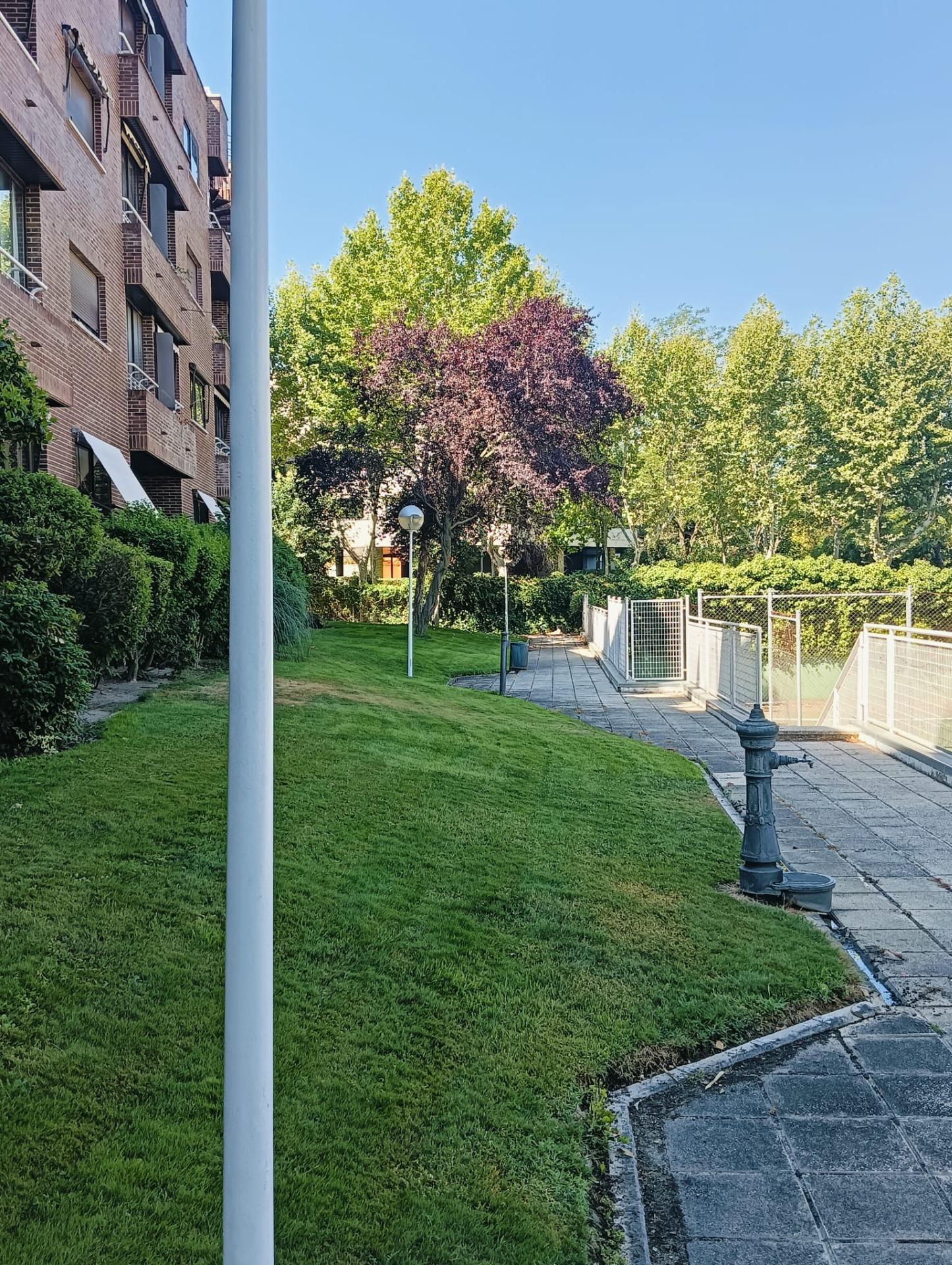 Pisos-Alquiler-Pozuelo de AlarcÃ³n-2089321-Foto-34