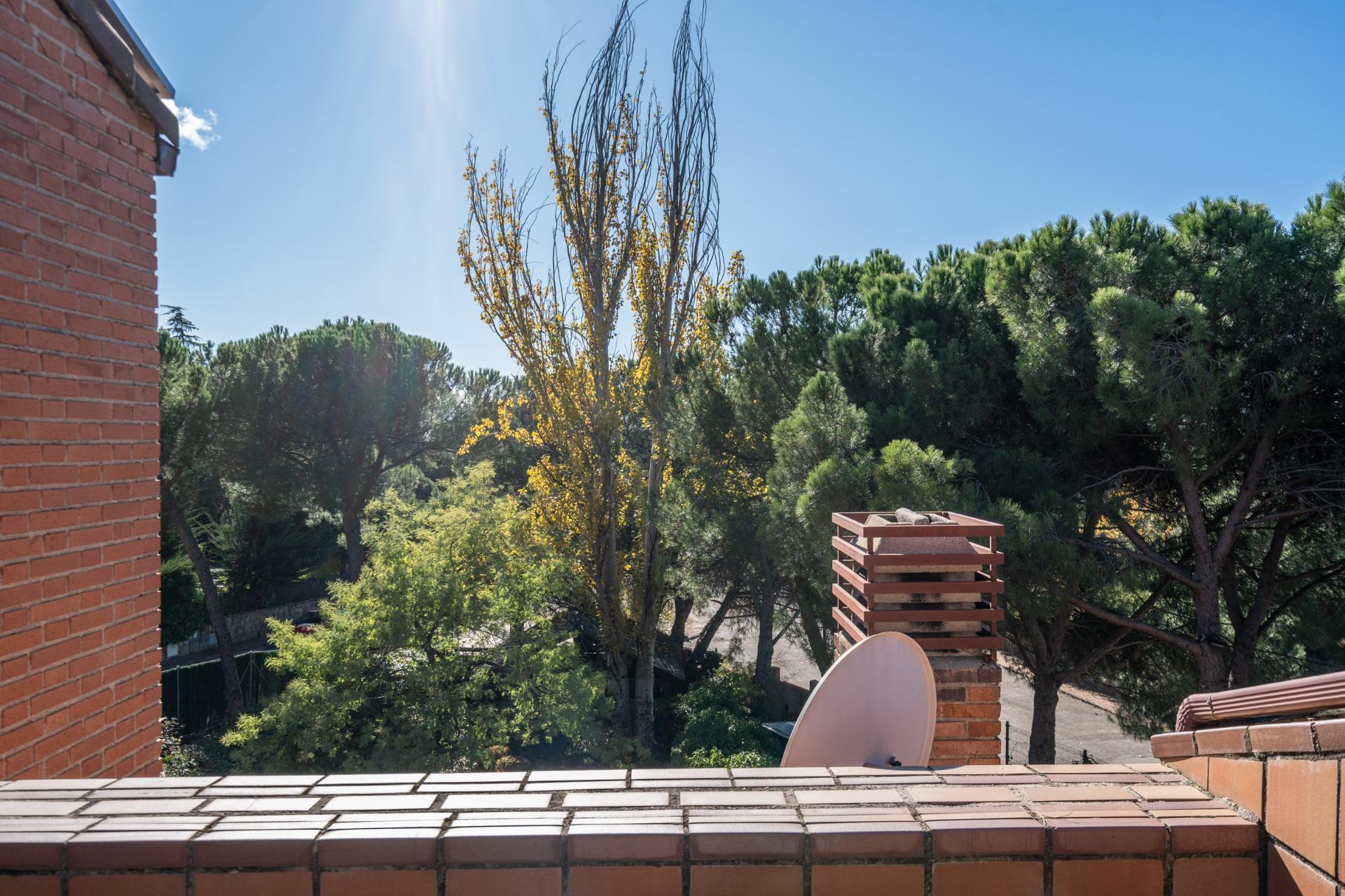 Casas o chalets-Venta-Galapagar-1993610-Foto-11