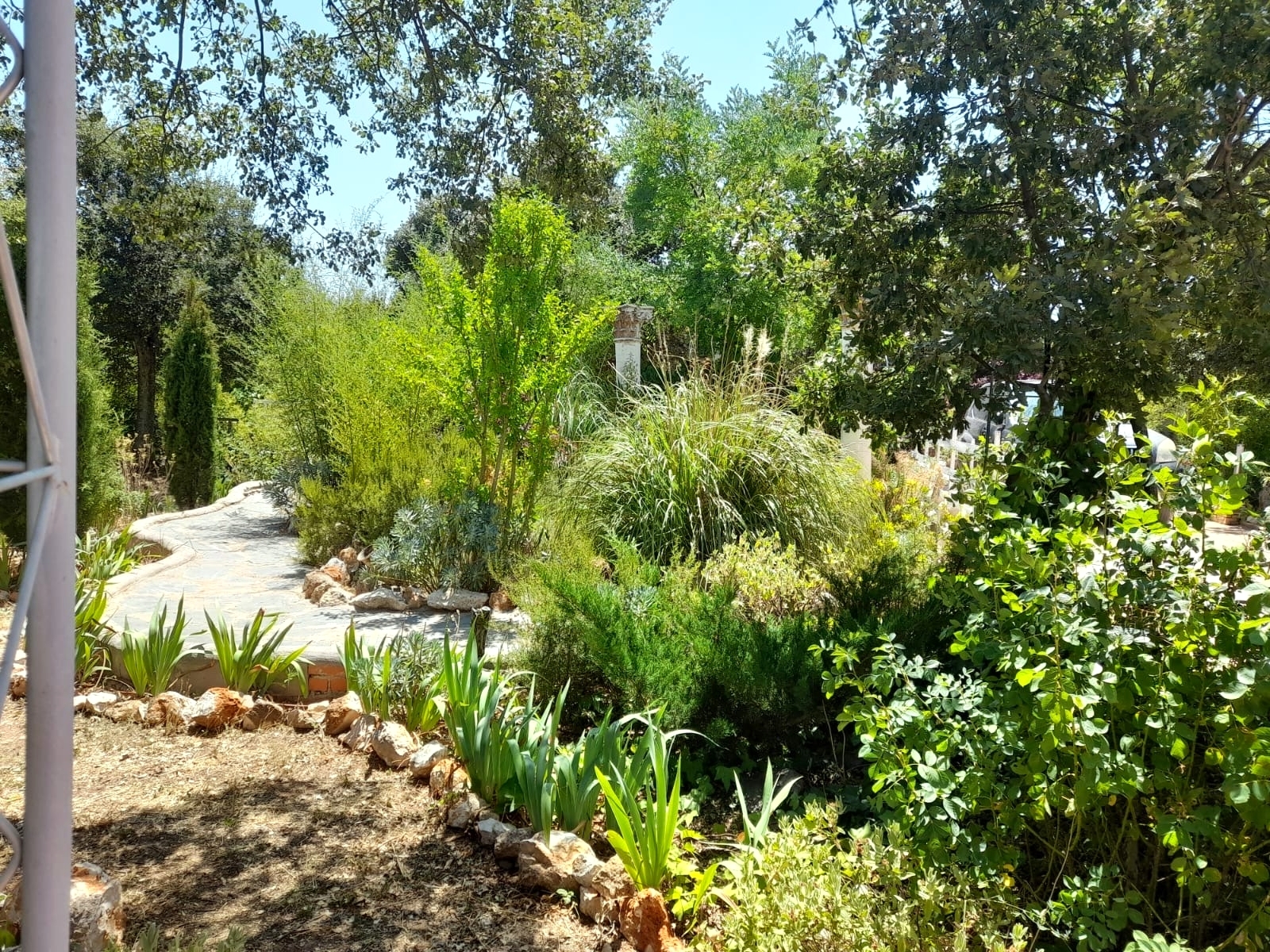 Casas o chalets-Venta-Loranca de TajuÃ±a-2089351-Foto-8