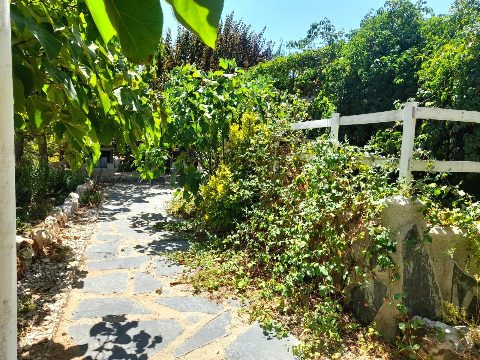 Casas o chalets-Venta-Loranca de TajuÃ±a-2089351-Foto-10