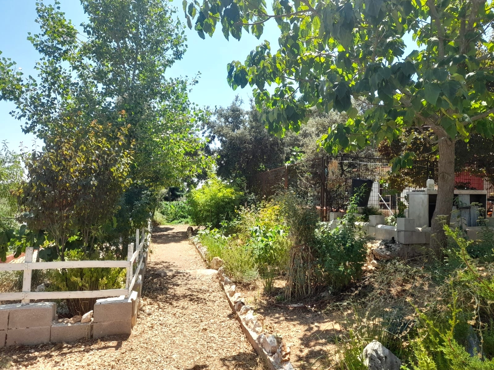 Casas o chalets-Venta-Loranca de TajuÃ±a-2089351-Foto-15