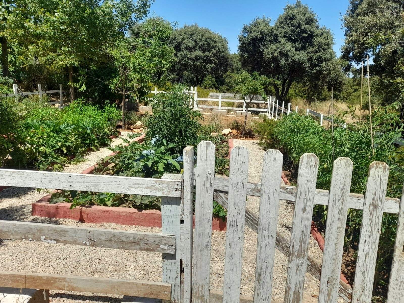 Casas o chalets-Venta-Loranca de TajuÃ±a-2089351-Foto-19