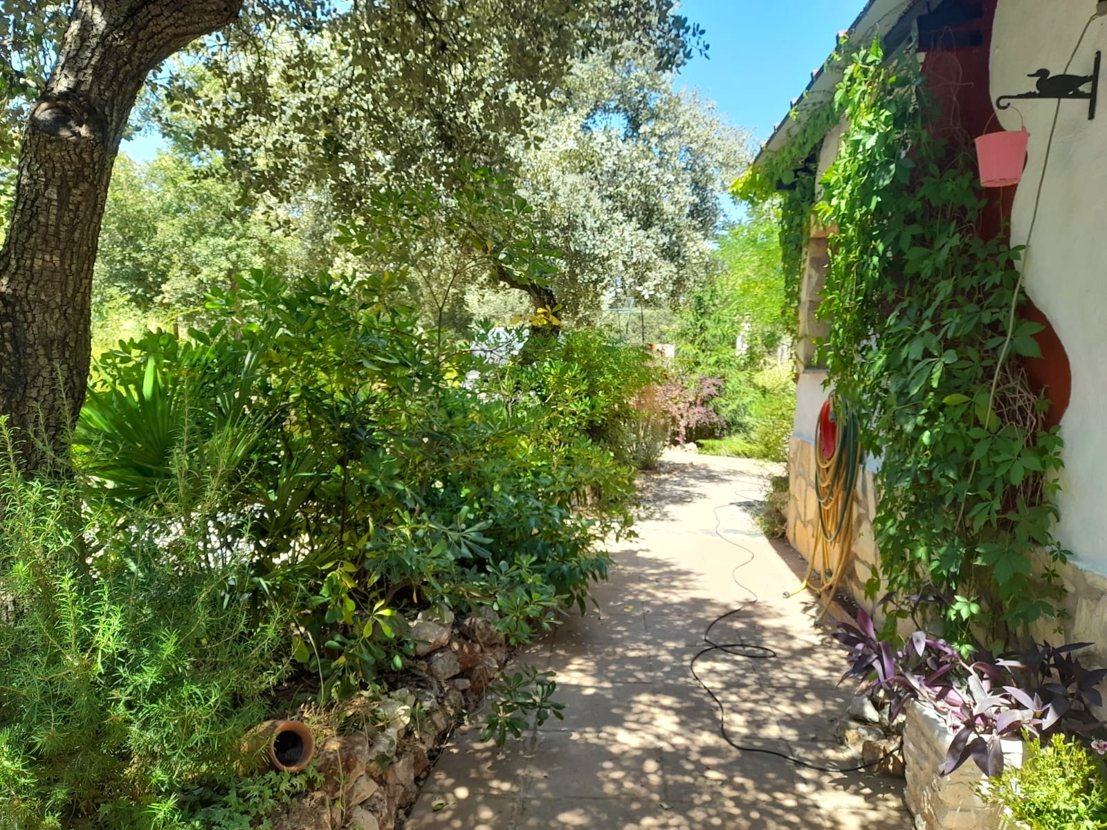 Casas o chalets-Venta-Loranca de TajuÃ±a-2089351-Foto-28