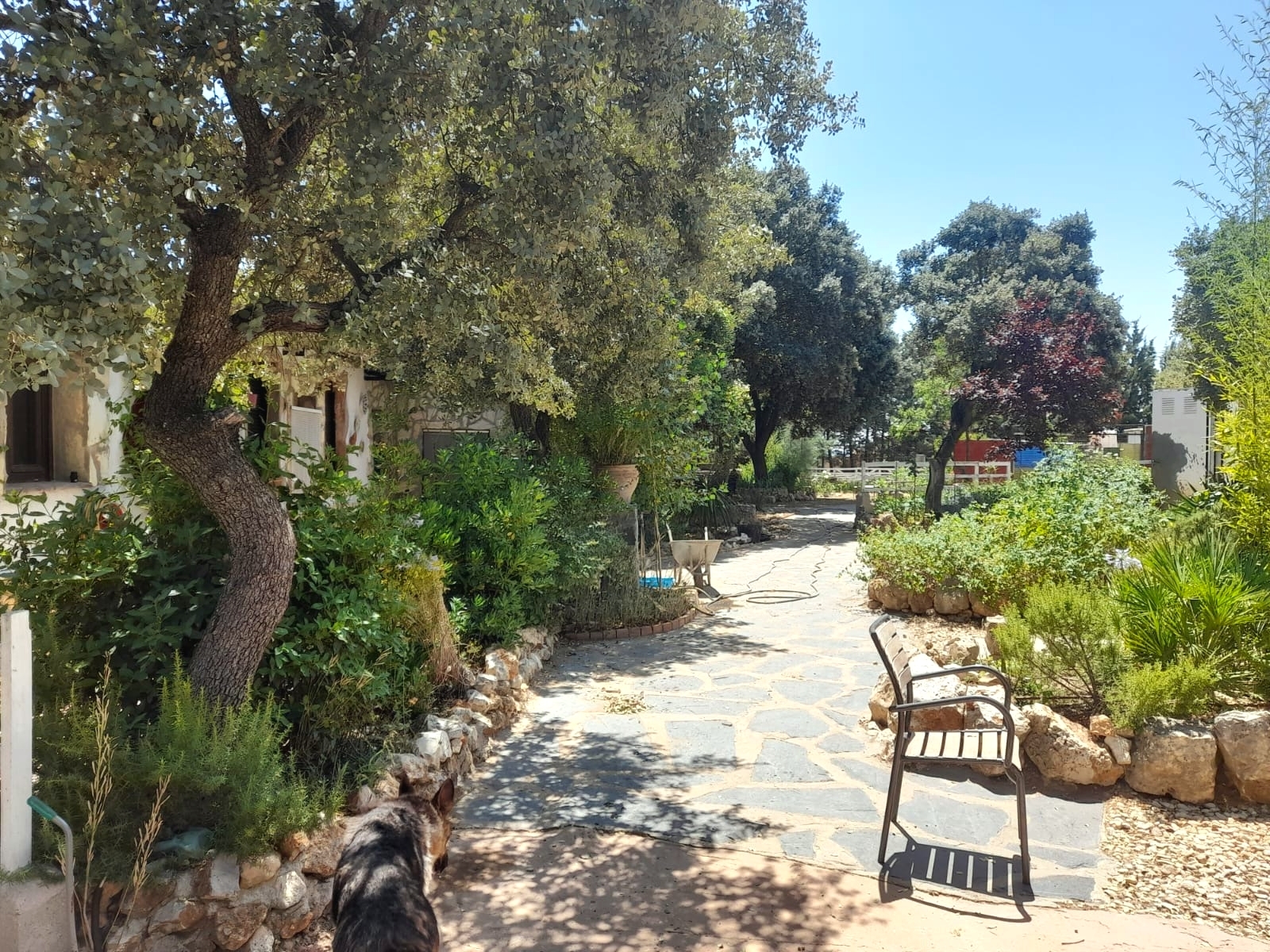 Casas o chalets-Venta-Loranca de TajuÃ±a-2089351-Foto-34