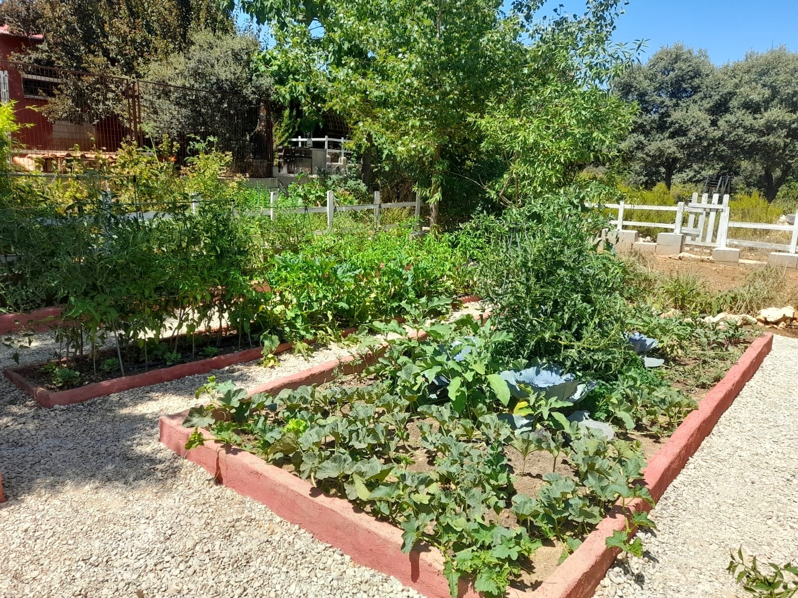 Casas o chalets-Venta-Loranca de TajuÃ±a-2089351-Foto-47