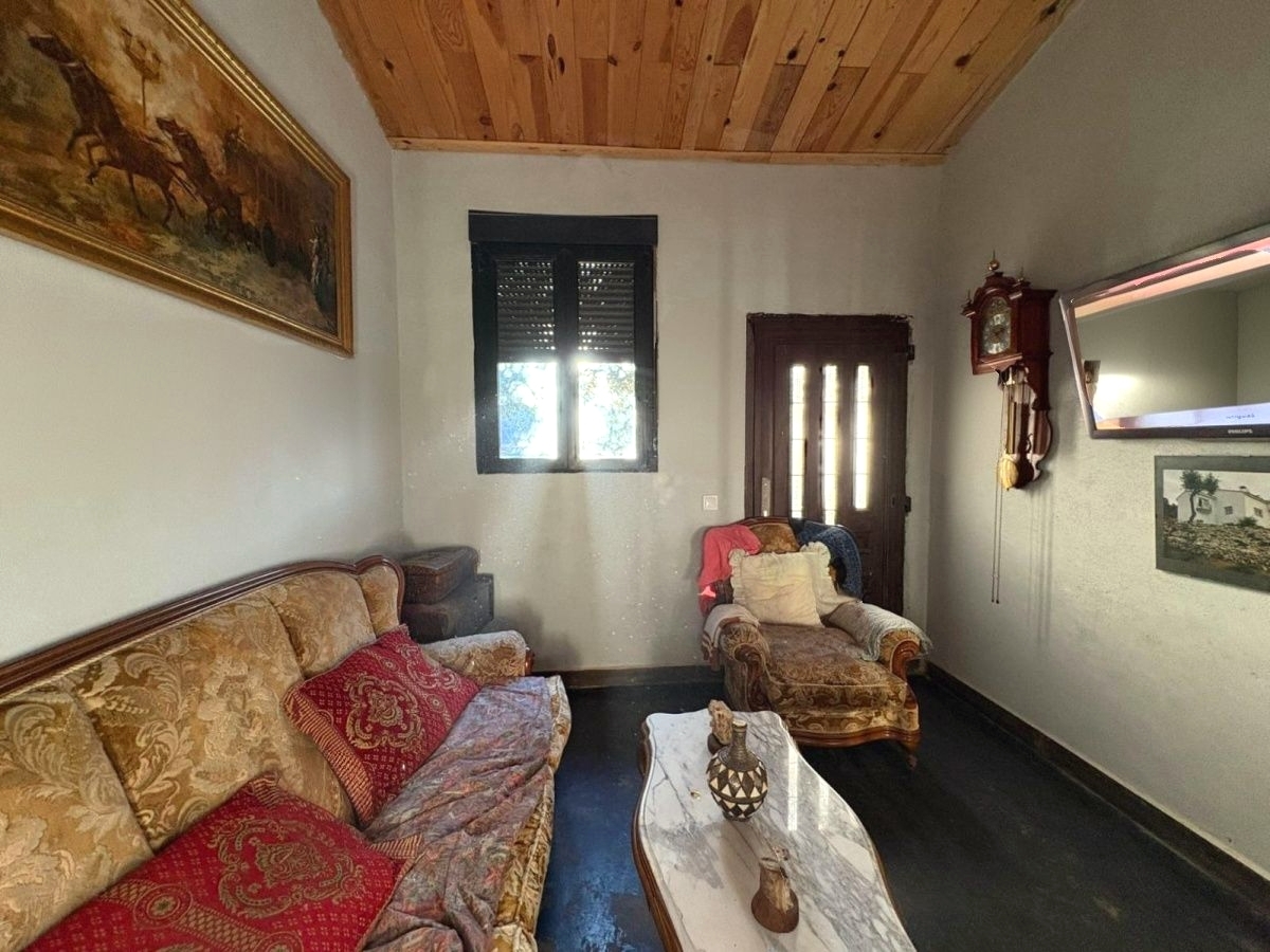 Casas o chalets-Venta-Loranca de TajuÃ±a-2089351-Foto-51