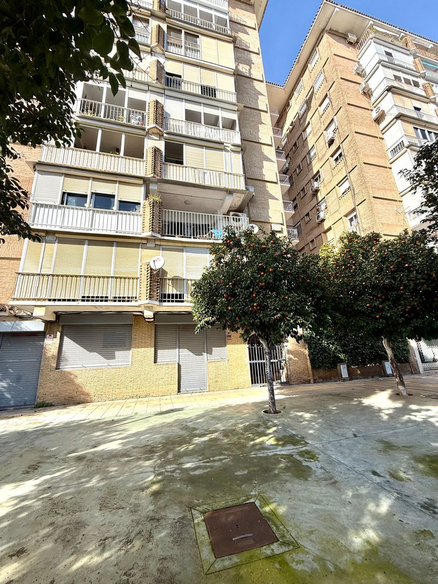 Pisos-Venta-Mairena del Aljarafe-2089458-Foto-4