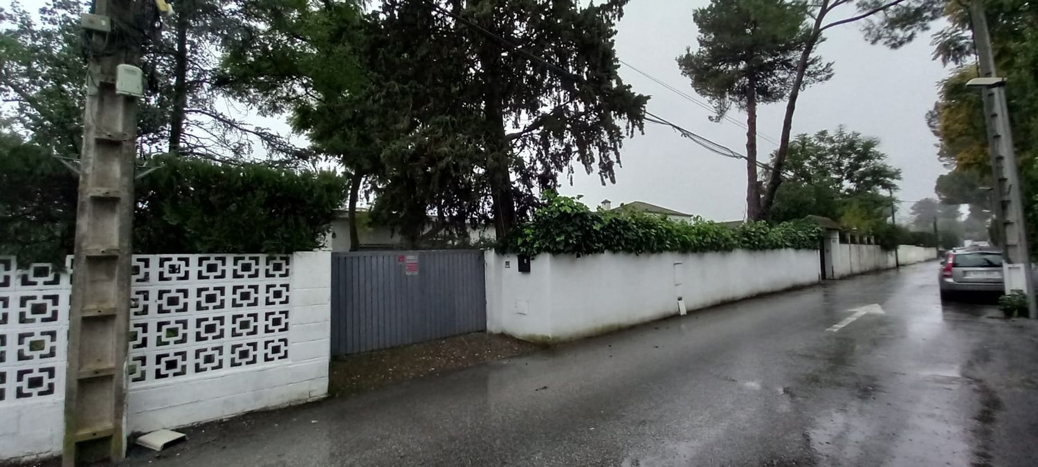 Casas o chalets-Venta-Mairena del Aljarafe-2089461-Foto-5