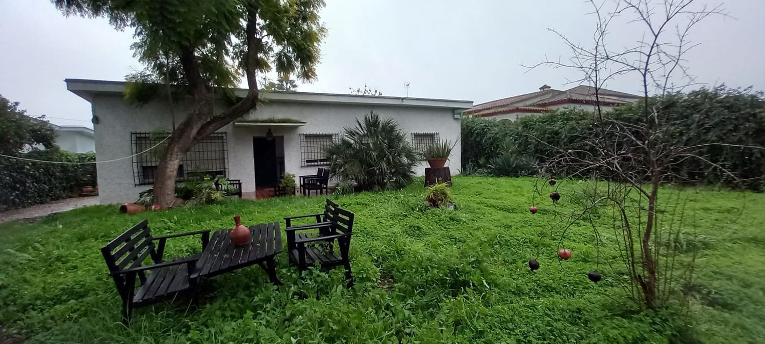 Casas o chalets-Venta-Mairena del Aljarafe-2089461-Foto-3