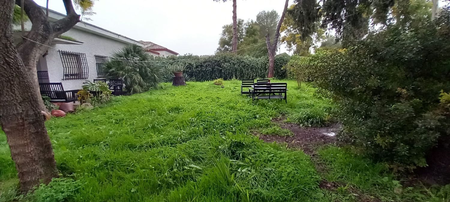 Casas o chalets-Venta-Mairena del Aljarafe-2089461-Foto-4