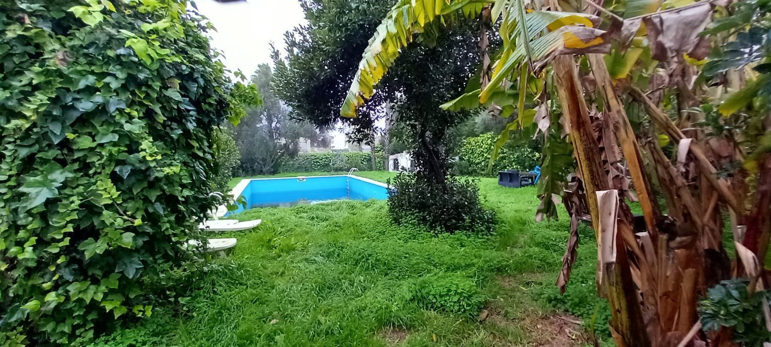 Casas o chalets-Venta-Mairena del Aljarafe-2089461-Foto-10