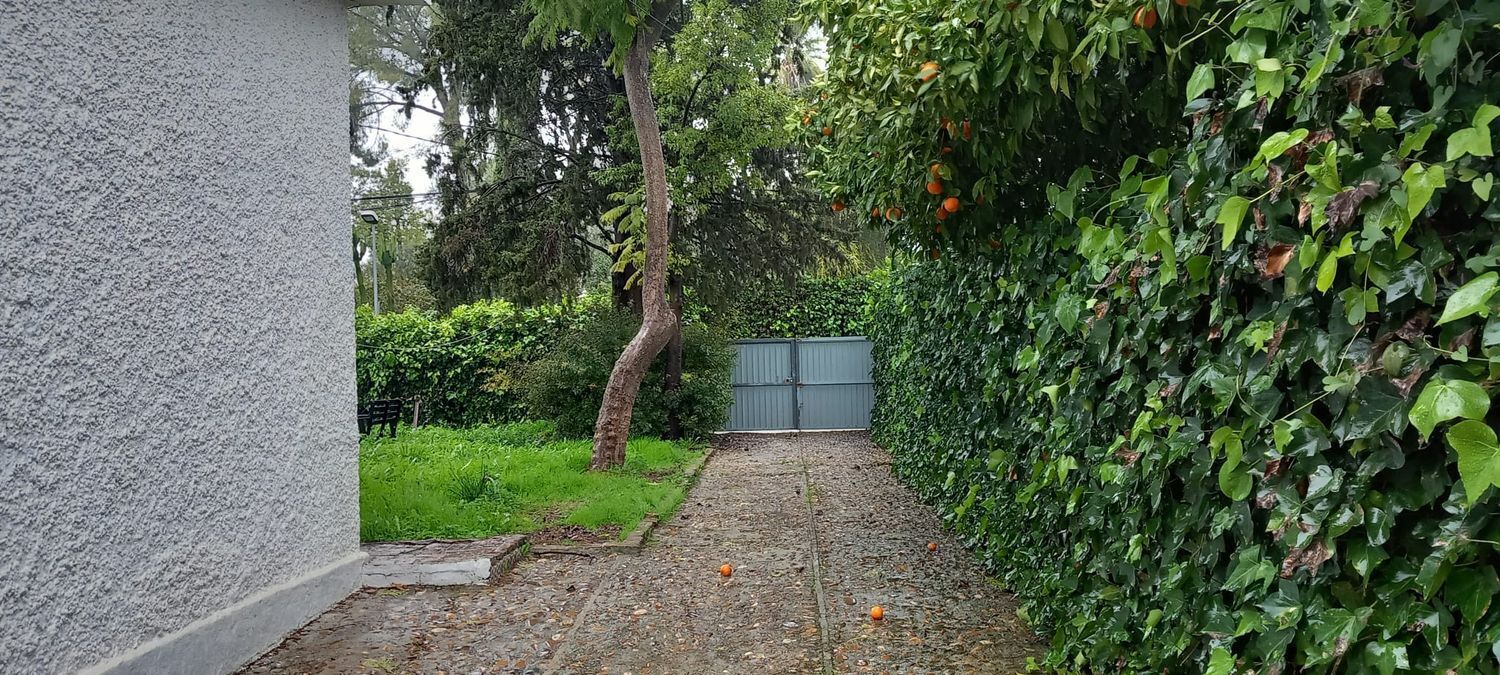 Casas o chalets-Venta-Mairena del Aljarafe-2089461-Foto-23