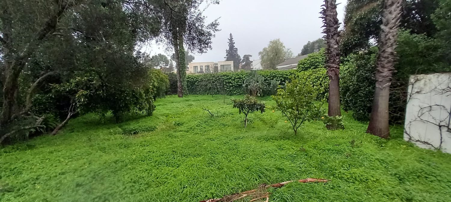 Casas o chalets-Venta-Mairena del Aljarafe-2089461-Foto-31