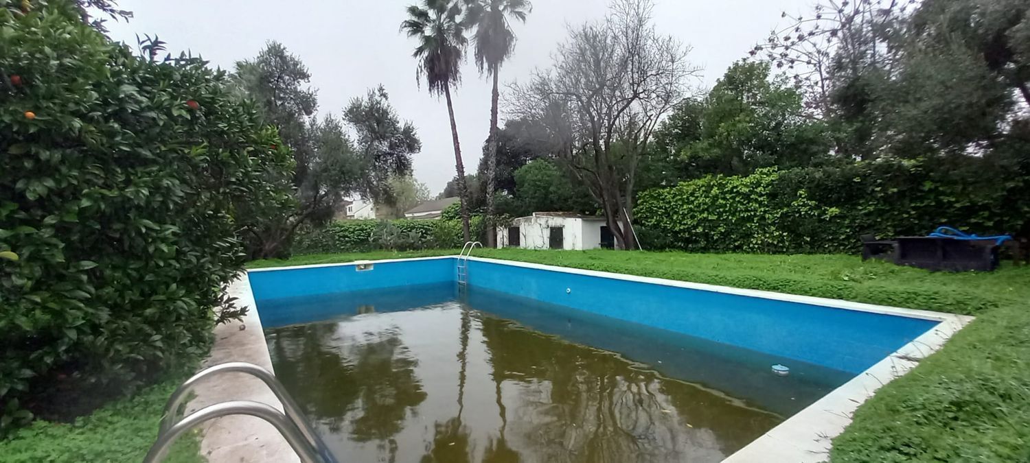 Casas o chalets-Venta-Mairena del Aljarafe-2089461-Foto-46