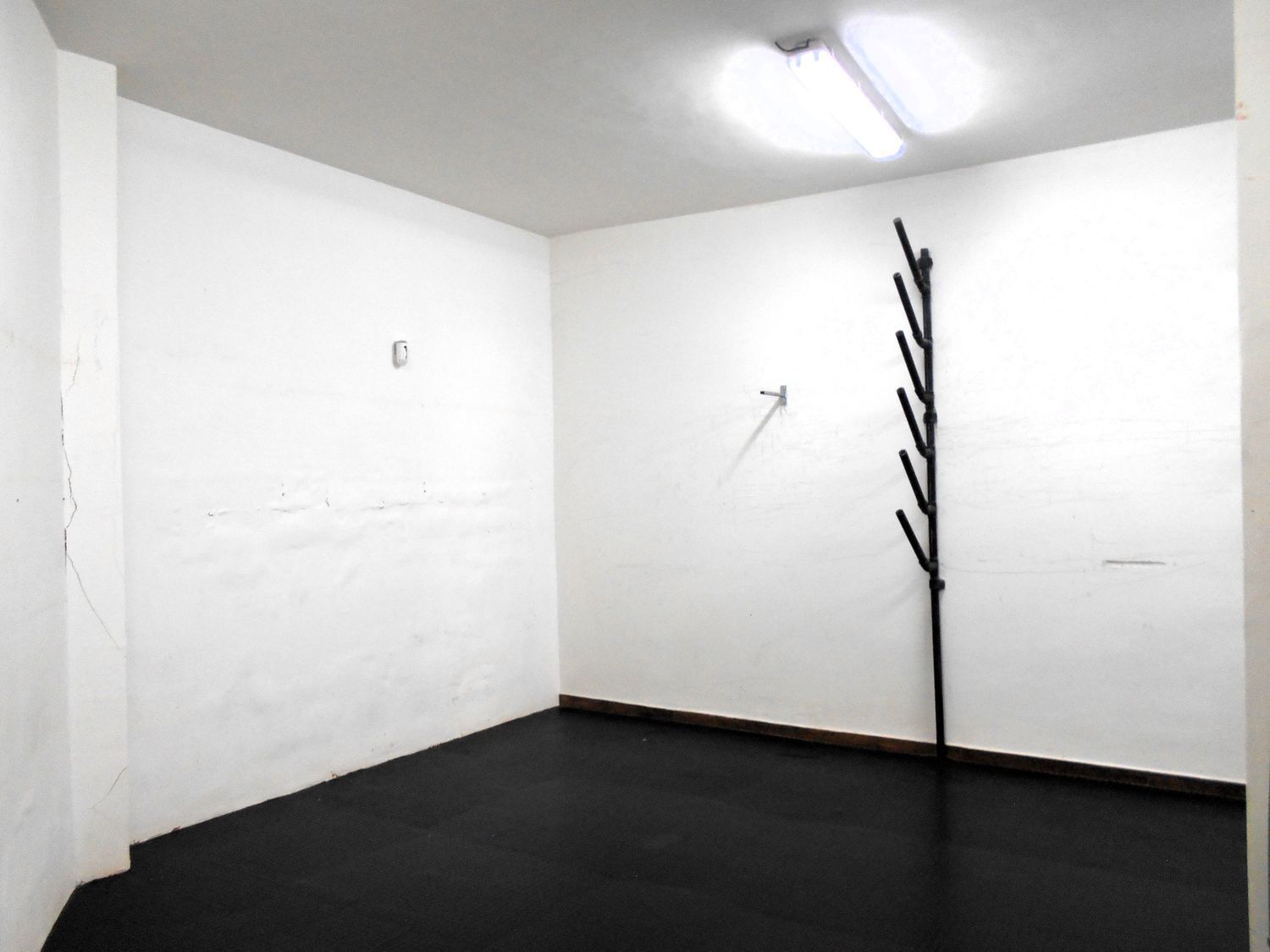 Locales-Alquiler-Santa Cruz de Tenerife-2089467-Foto-20