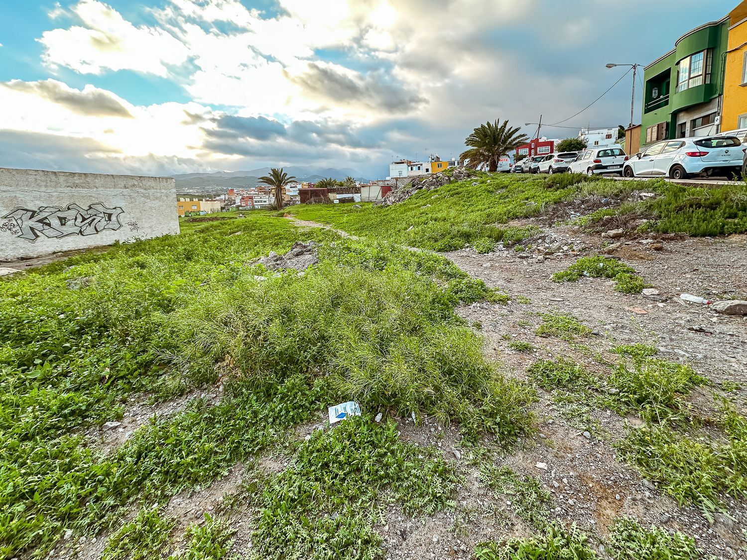 Fincas y solares-Venta-Telde-2089476-Foto-4