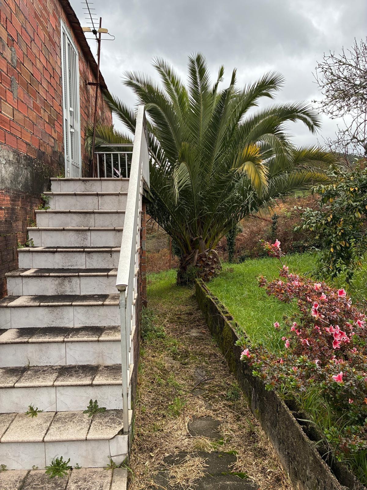 Casas o chalets-Venta-Covelo-2009497