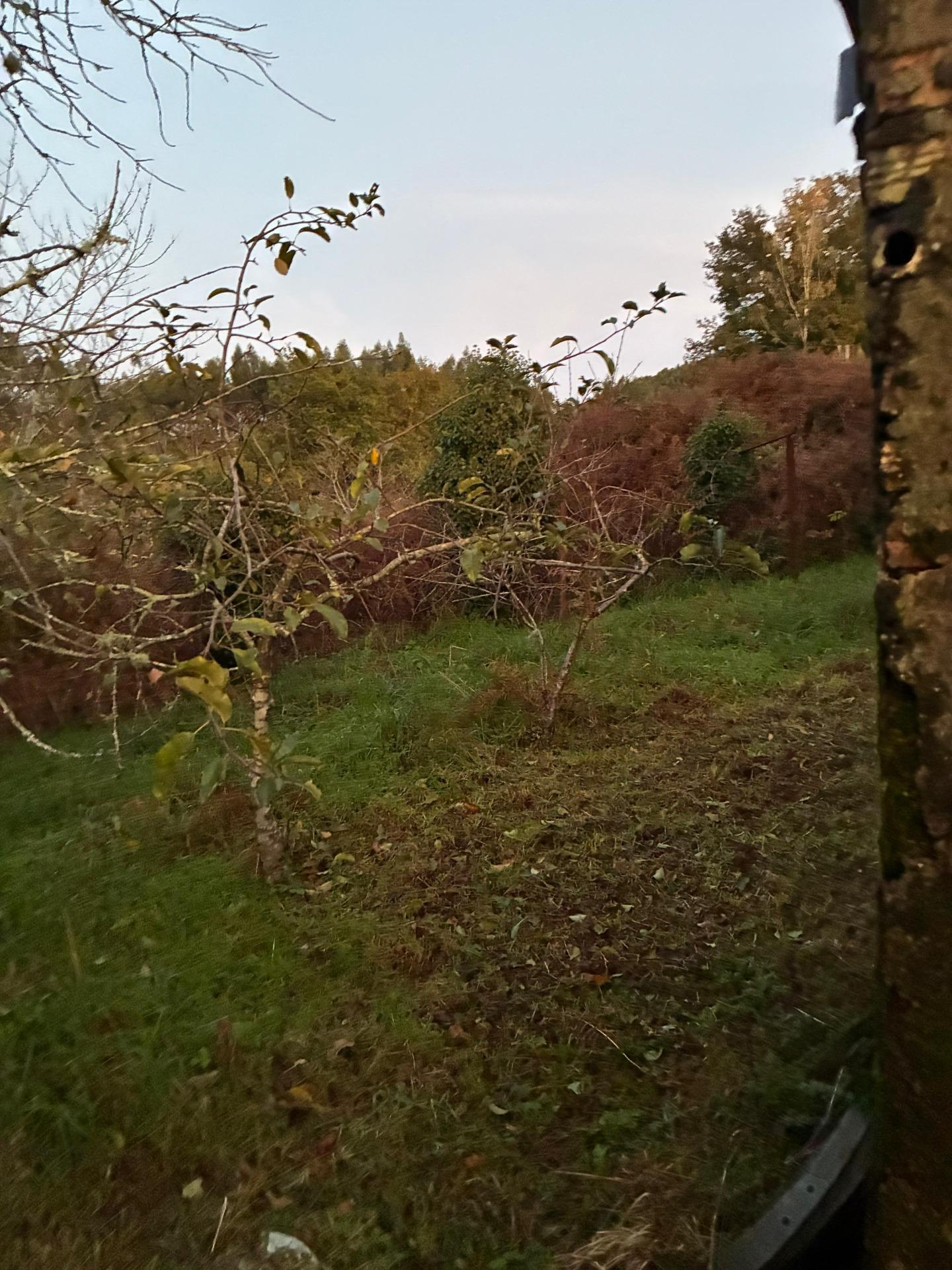 Casas o chalets-Venta-Covelo-2009497-Foto-4