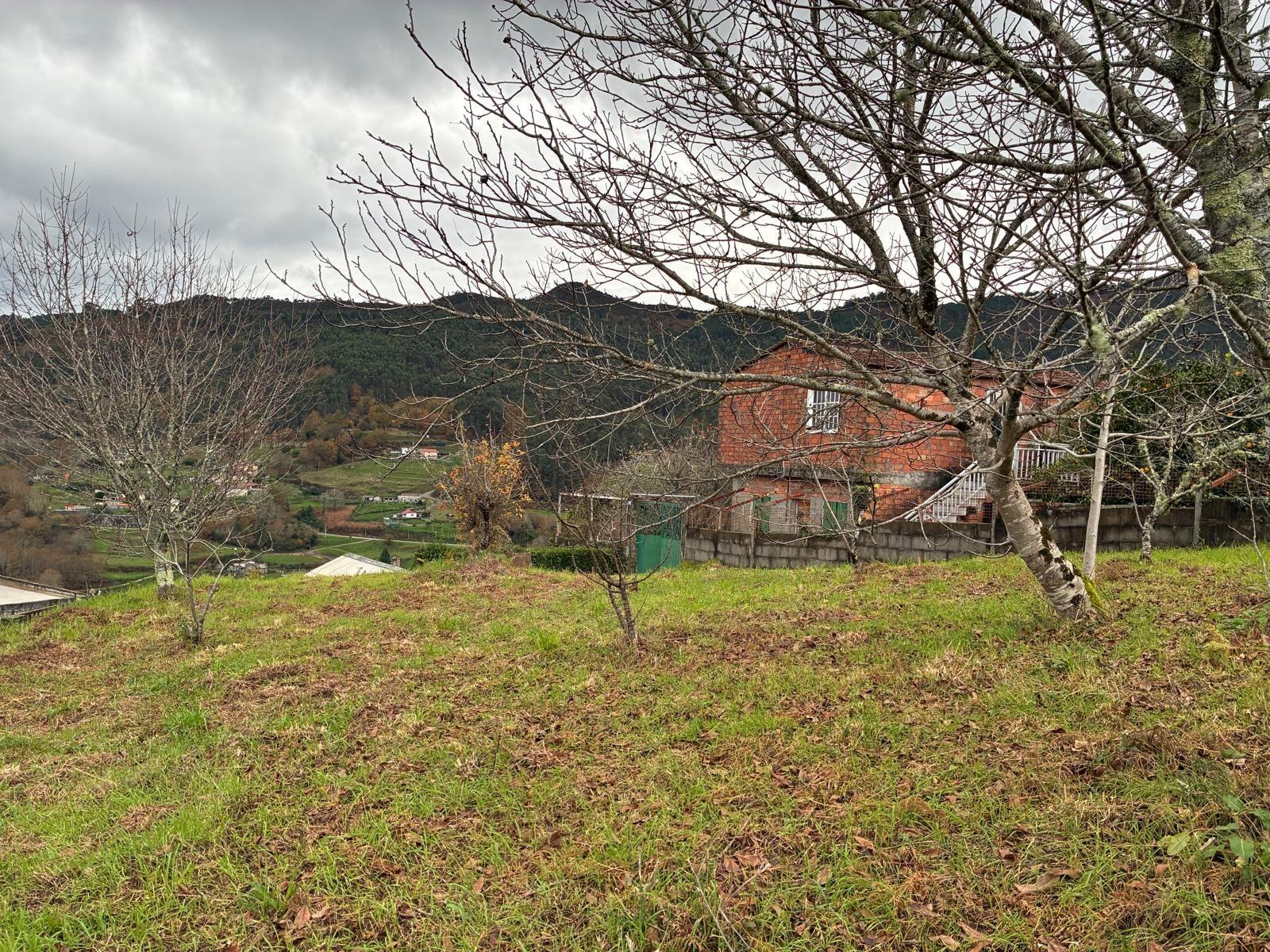 Casas o chalets-Venta-Covelo-2009497-Foto-3