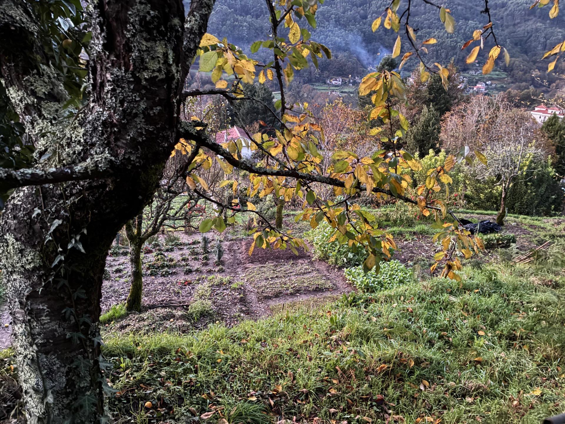 Casas o chalets-Venta-Covelo-2009497-Foto-7