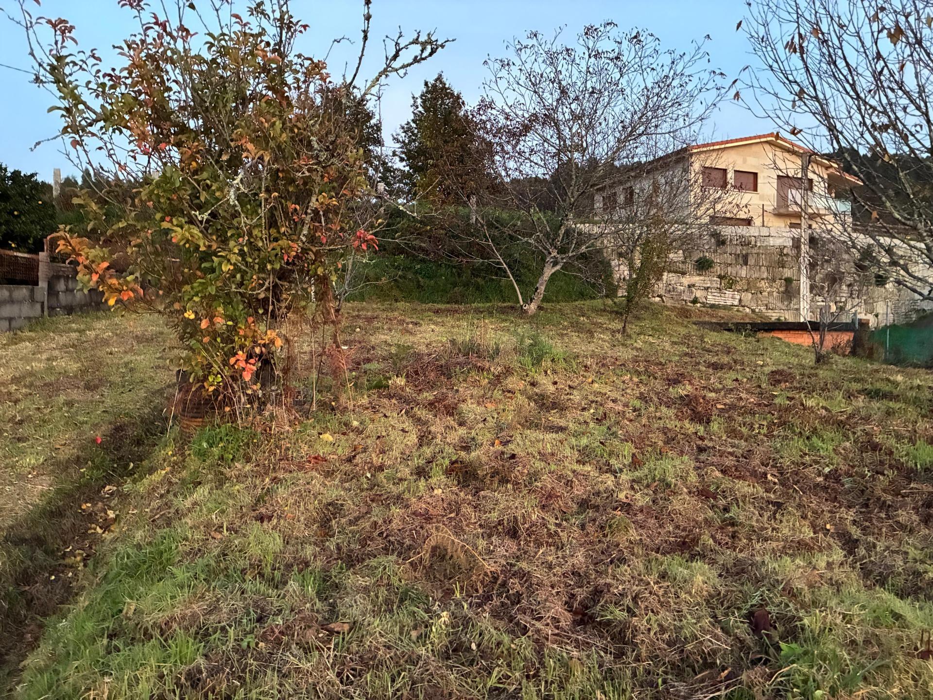 Casas o chalets-Venta-Covelo-2009497-Foto-6