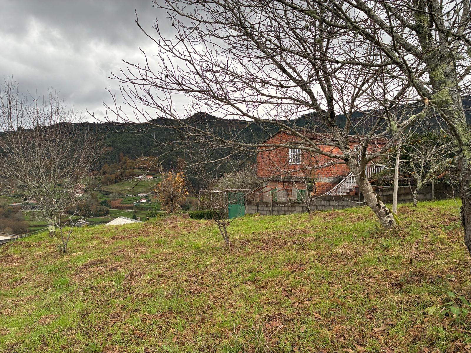 Casas o chalets-Venta-Covelo-2009497-Foto-17