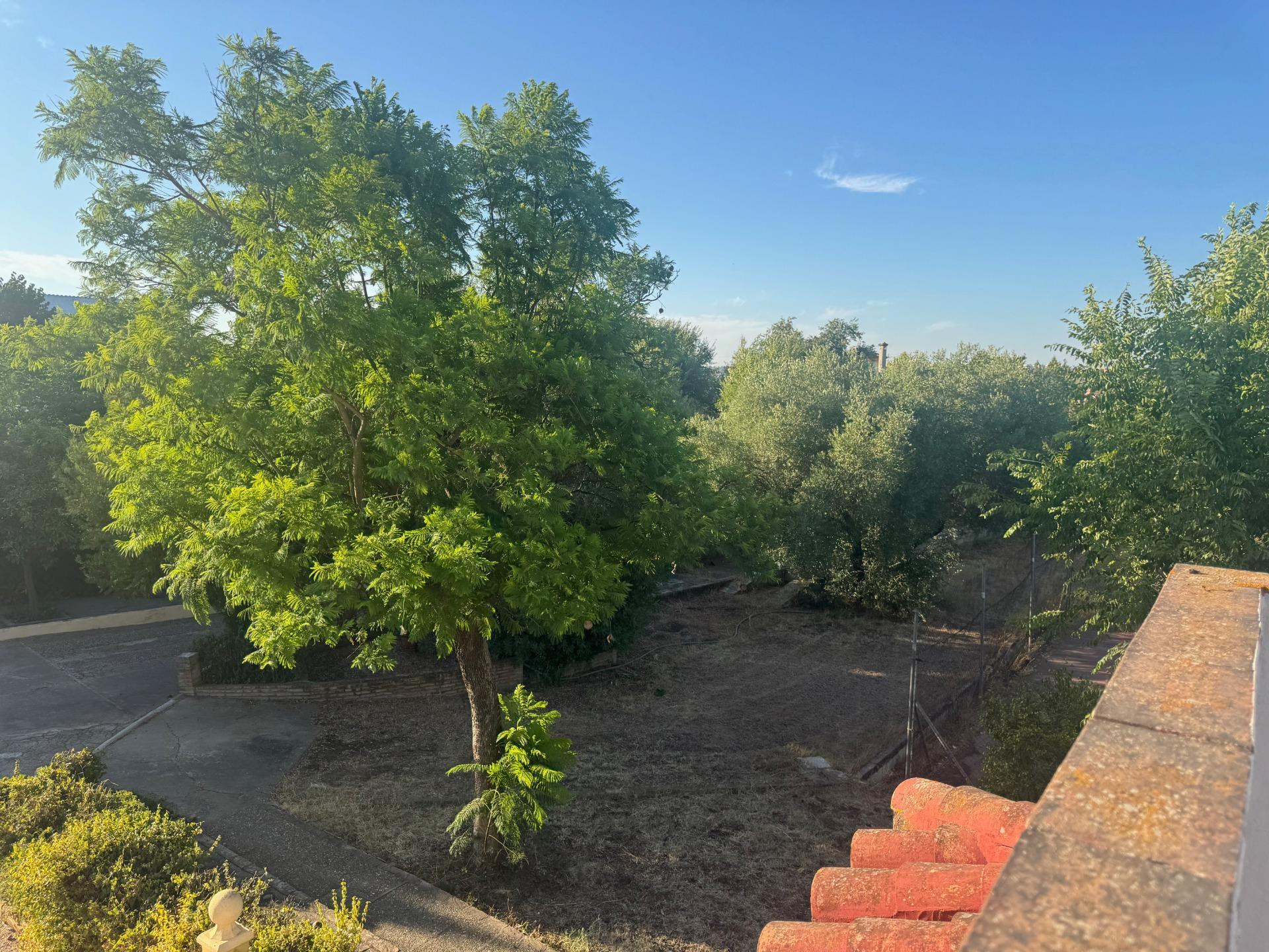 Casas o chalets-Venta-Palomares del RÃ­o-1831451-Foto-38