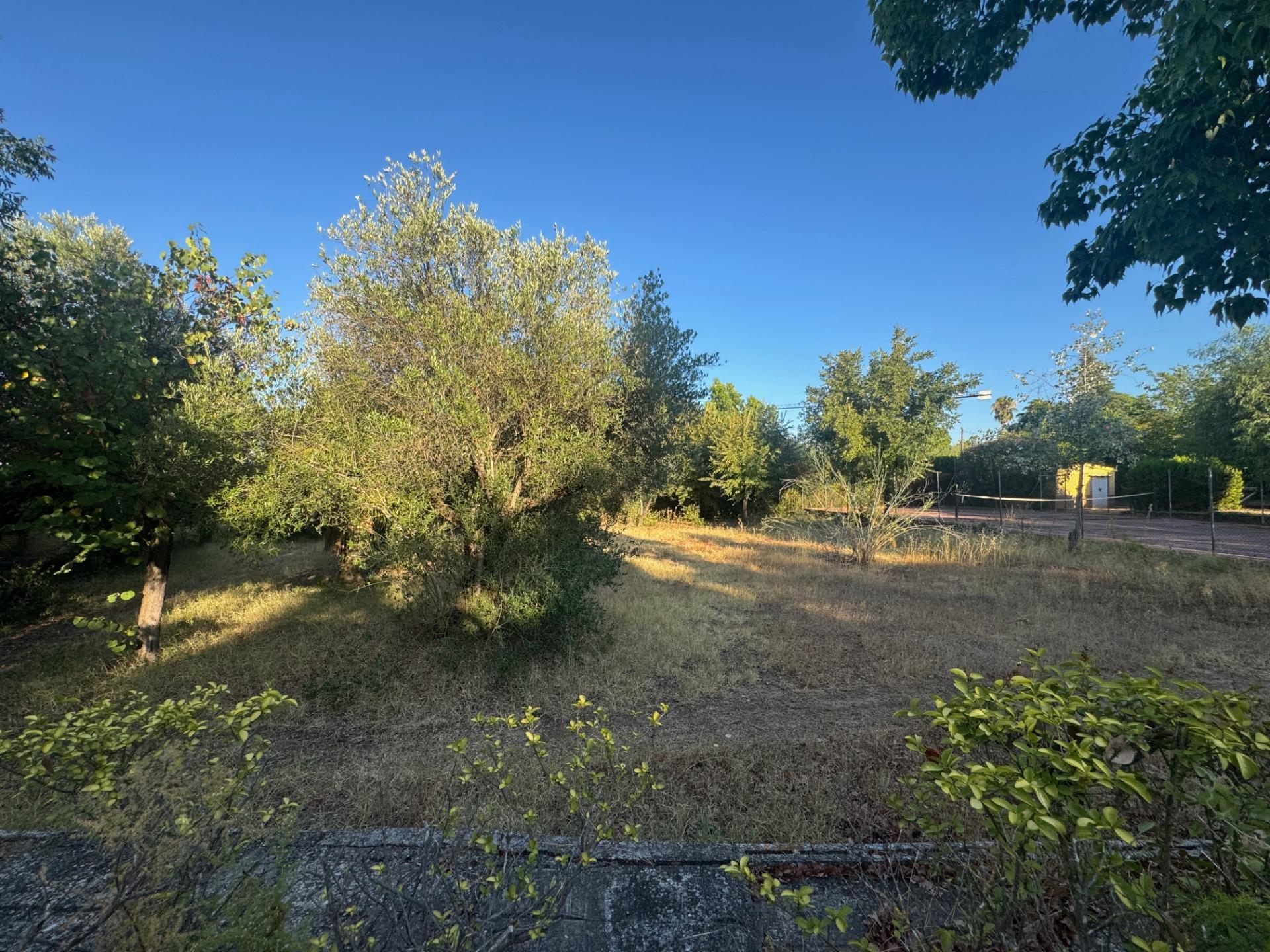 Casas o chalets-Venta-Palomares del RÃ­o-1831451-Foto-63