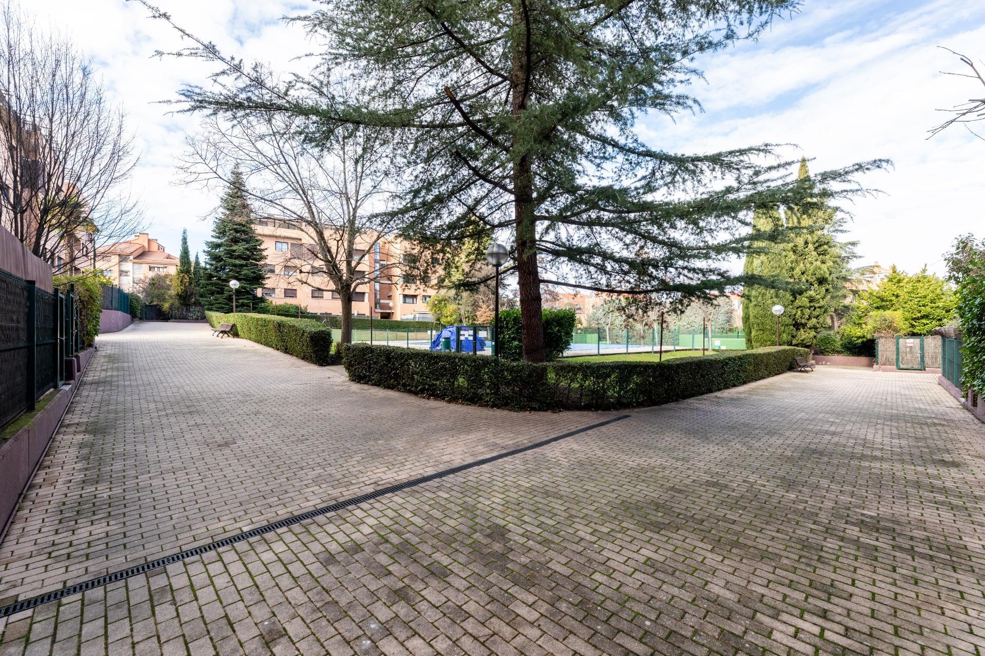 Pisos-Venta-Boadilla del Monte-2059823-Foto-24