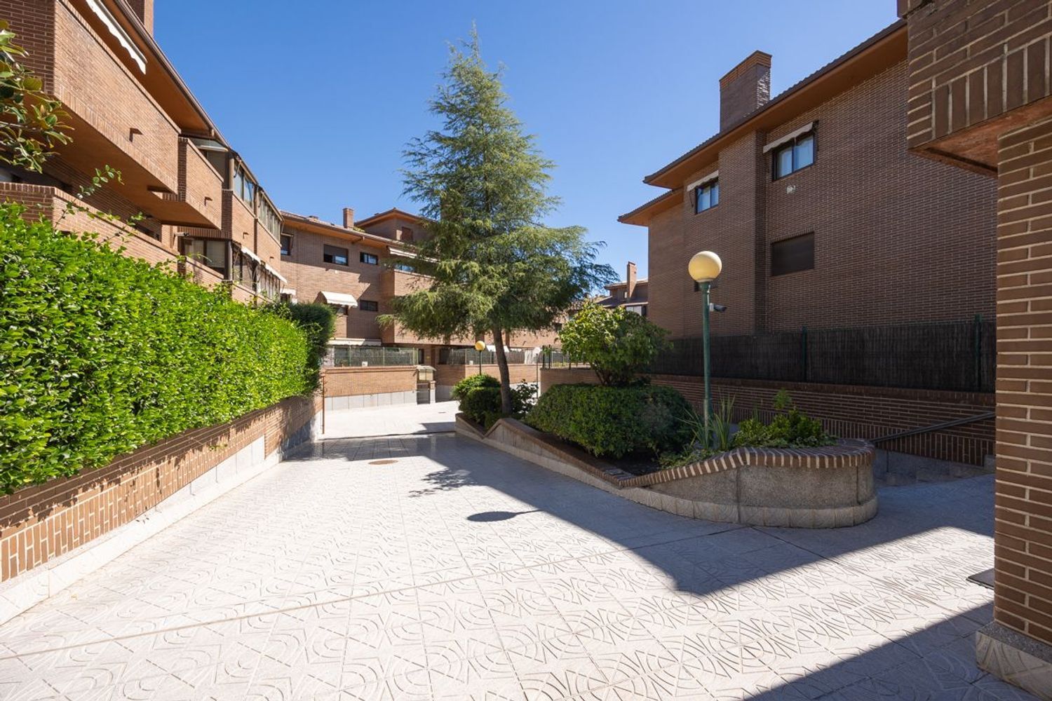 Pisos-Alquiler-Pozuelo de AlarcÃ³n-2089812-Foto-40