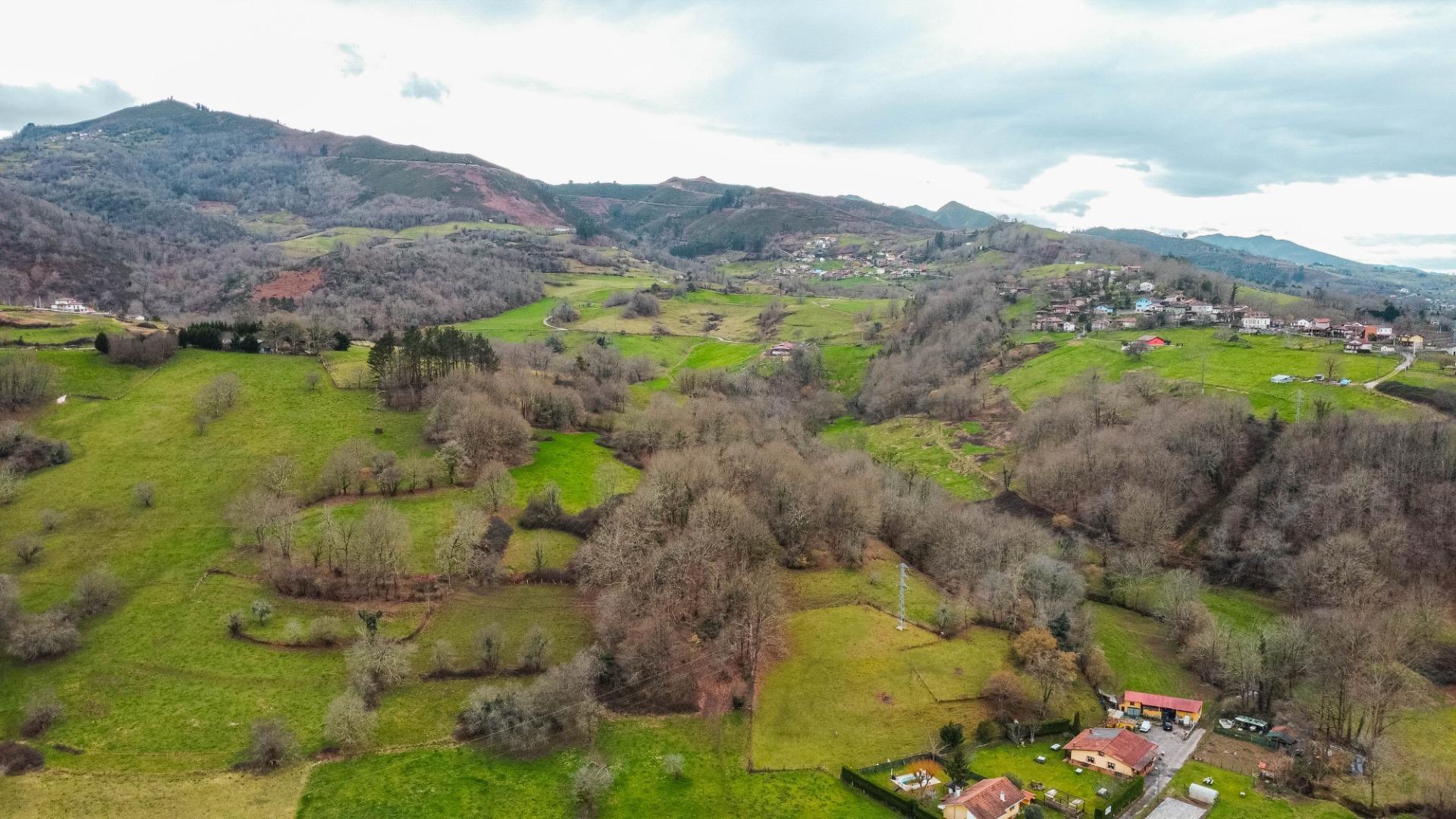 Casas o chalets-Venta-Cangas de OnÃ­s-2089836-Foto-25