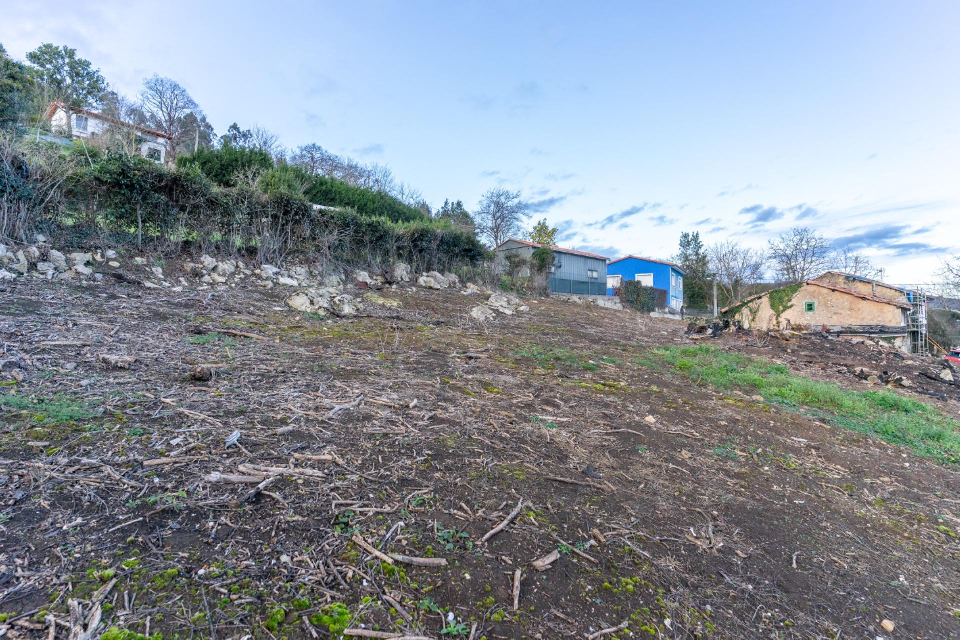 Fincas y solares-Venta-Sariego-2089833-Foto-14