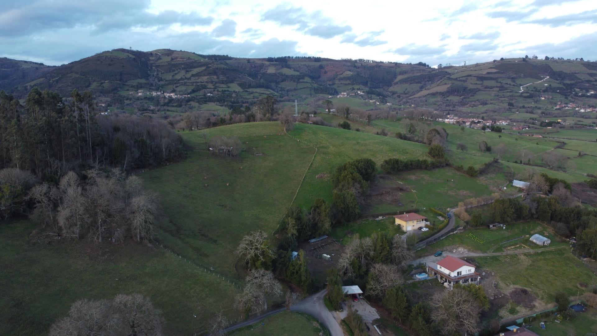 Fincas y solares-Venta-Sariego-2089833-Foto-19