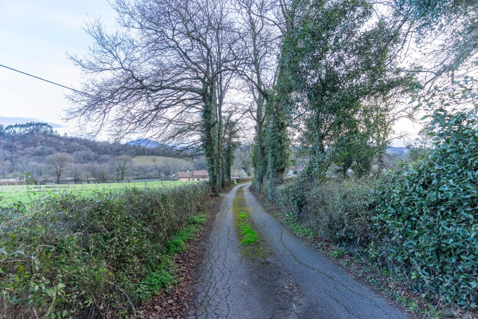 Fincas y solares-Venta-Sariego-2089833-Foto-18